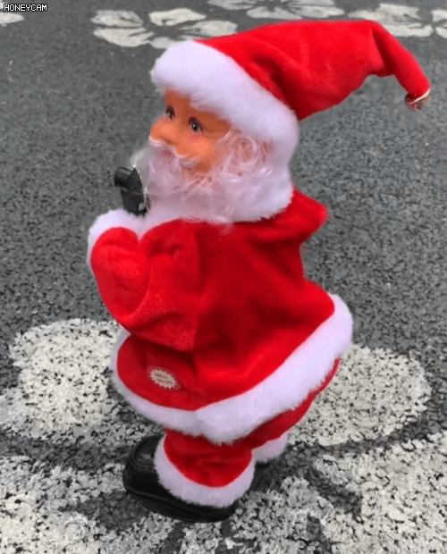 Honeycam 2025-11-29 13-44-35.gif