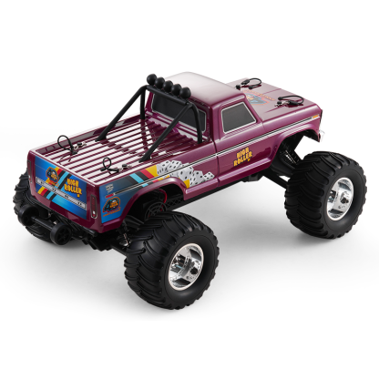 FMS 1:10 Ford F-100 Monster Truck 2WD RTR / RS