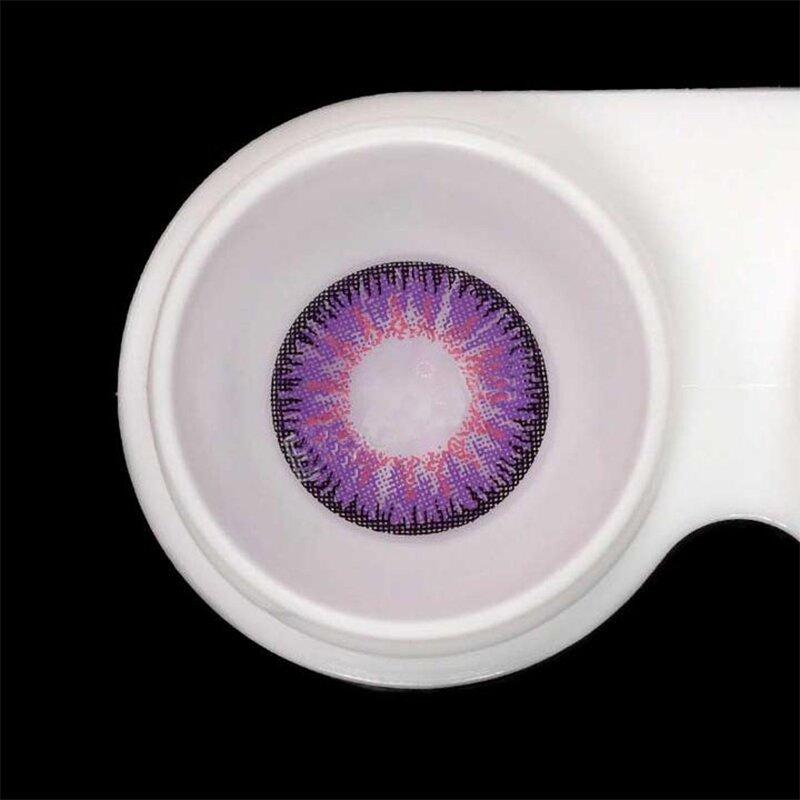 【SALE】Vika Tricolor Purple | 1 Year