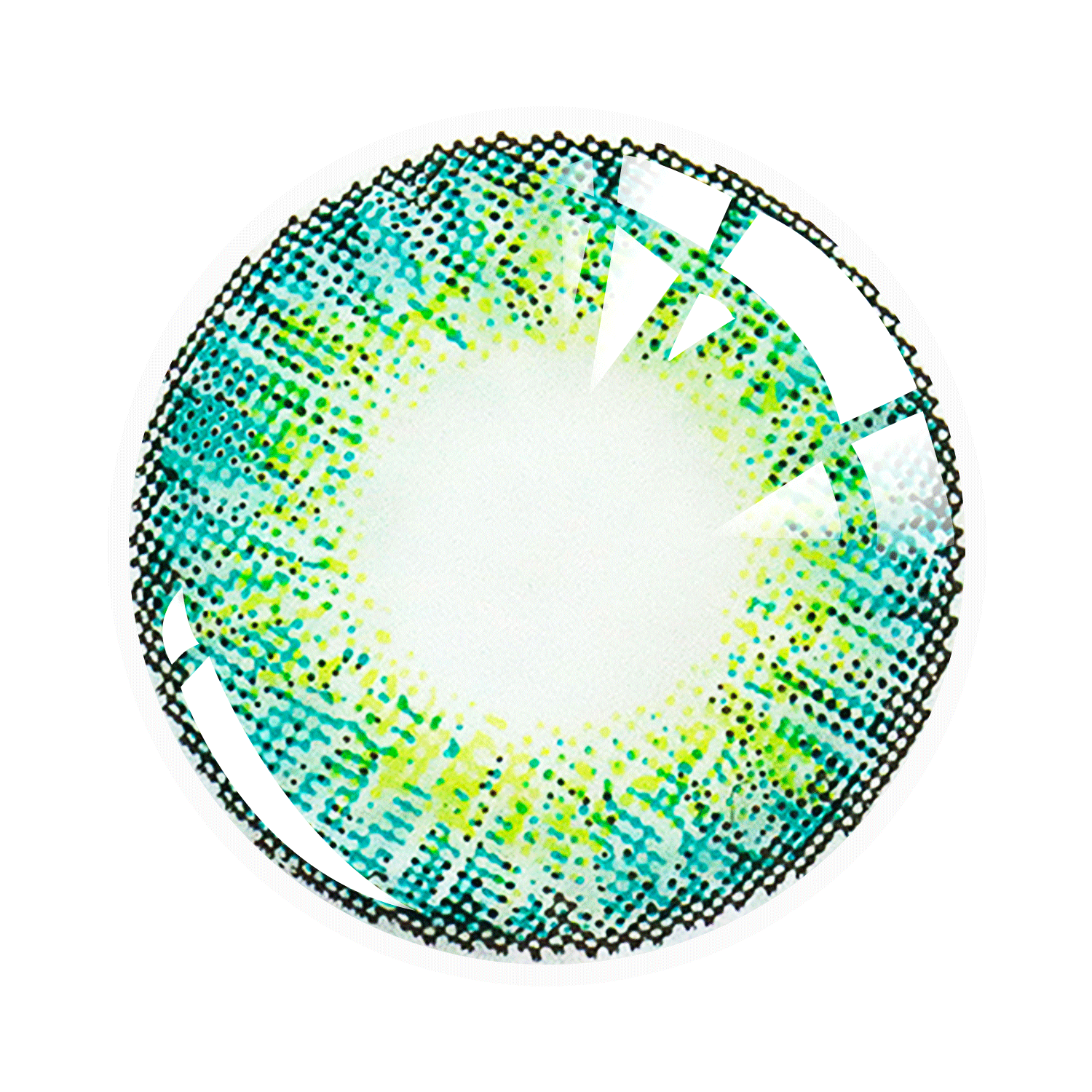 Three Tone Series| 1 Year