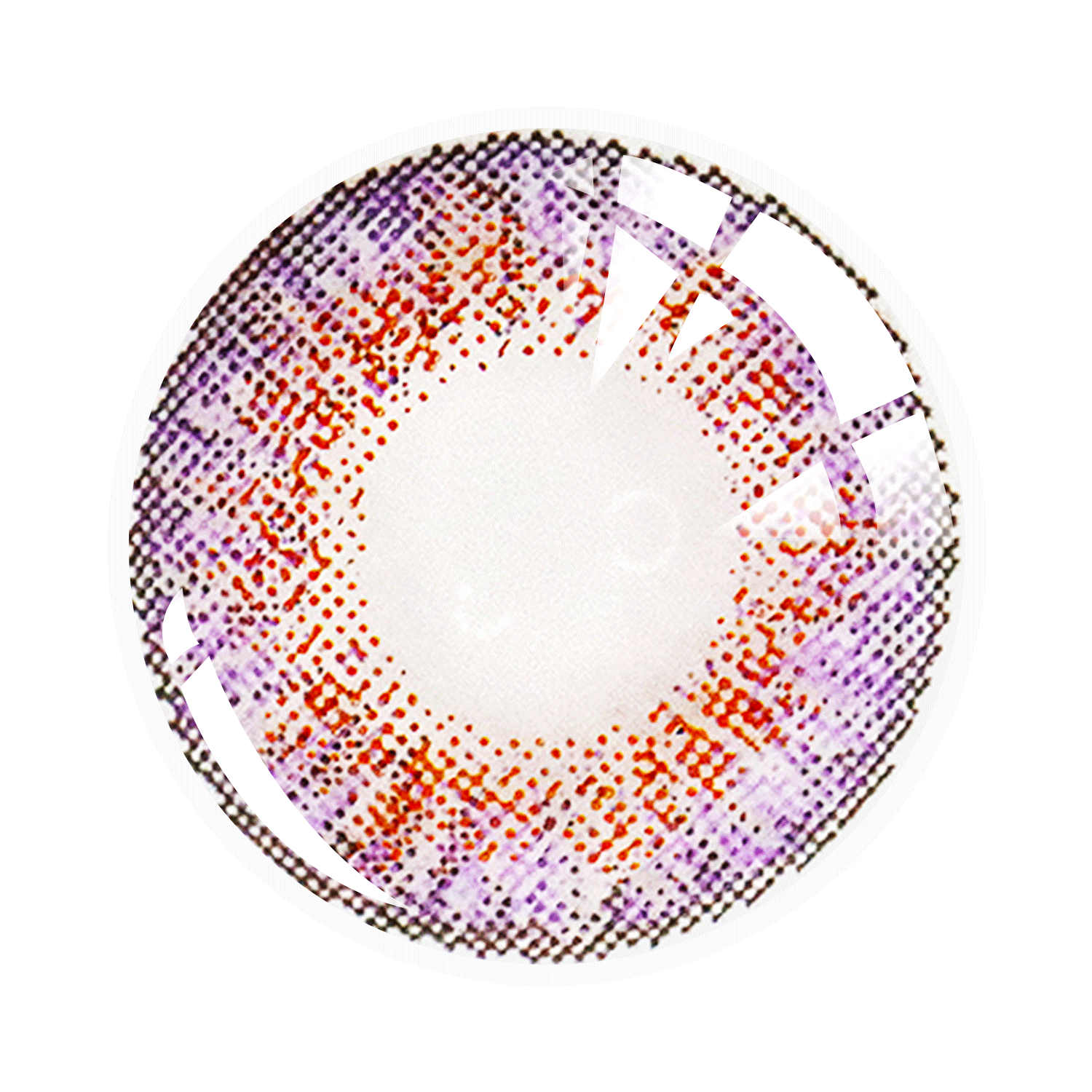 Three Tone Series| 1 Year