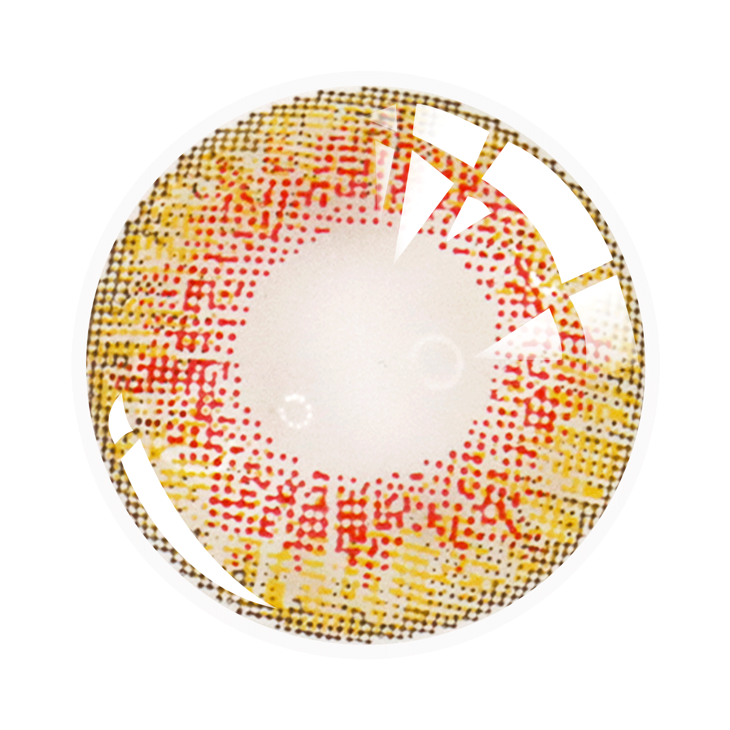 Three Tone Series| 1 Year