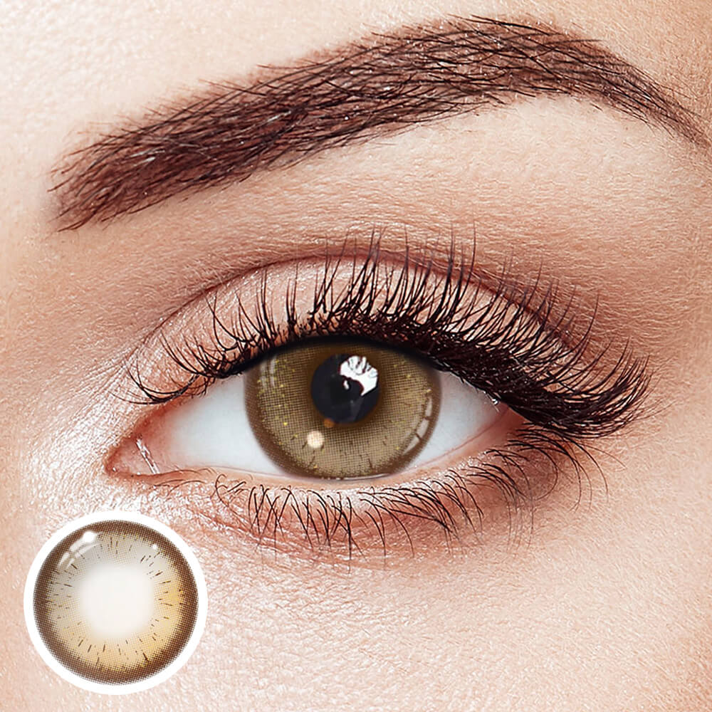 FireFly Brown | 1 Year