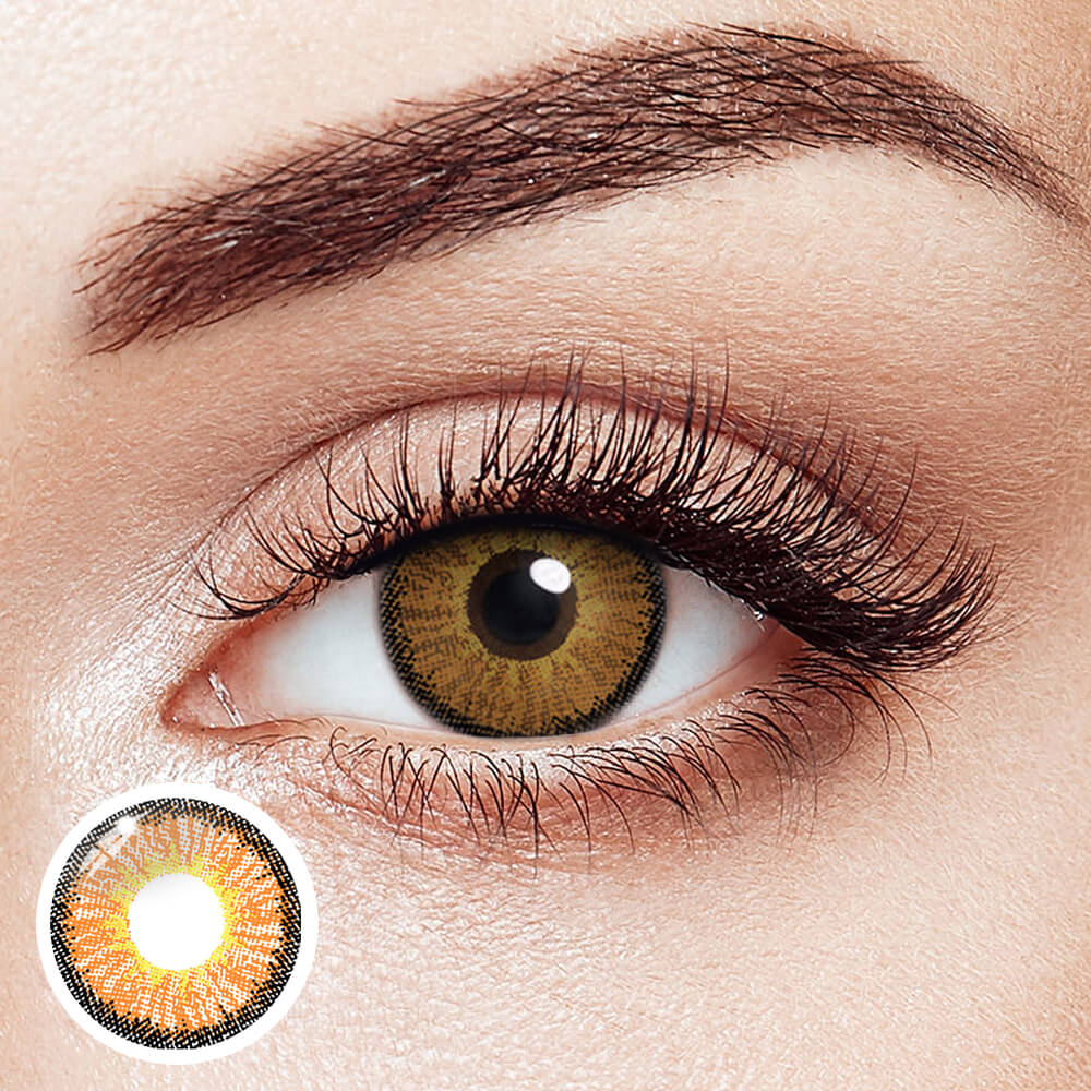 ICE SNOW Brown | 1 Year