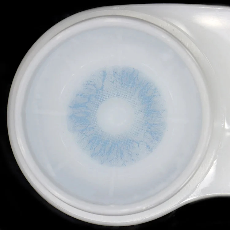 【NEW】Rococo Passion Blue | 1 Year