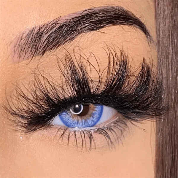 Wildness Peacock Blue | 1 Year