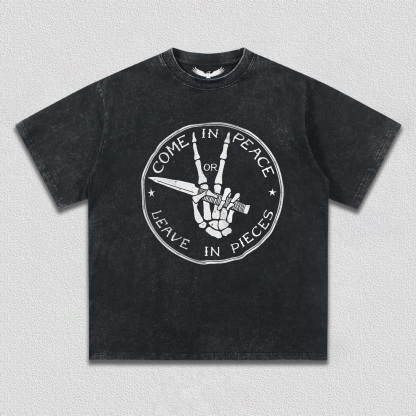 Choice Between Peace or Pieces T-Shirt