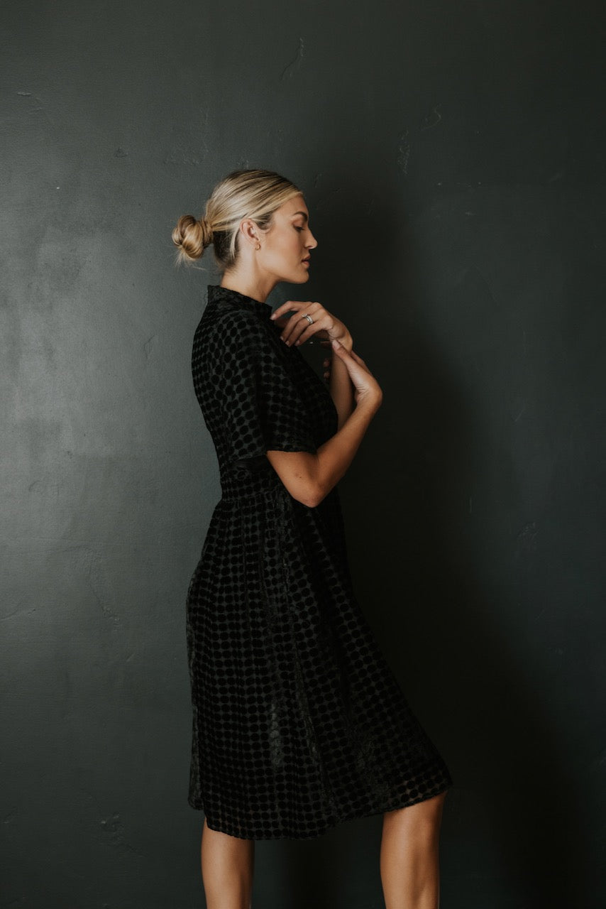 Theodosia Velvet Dotted Dress