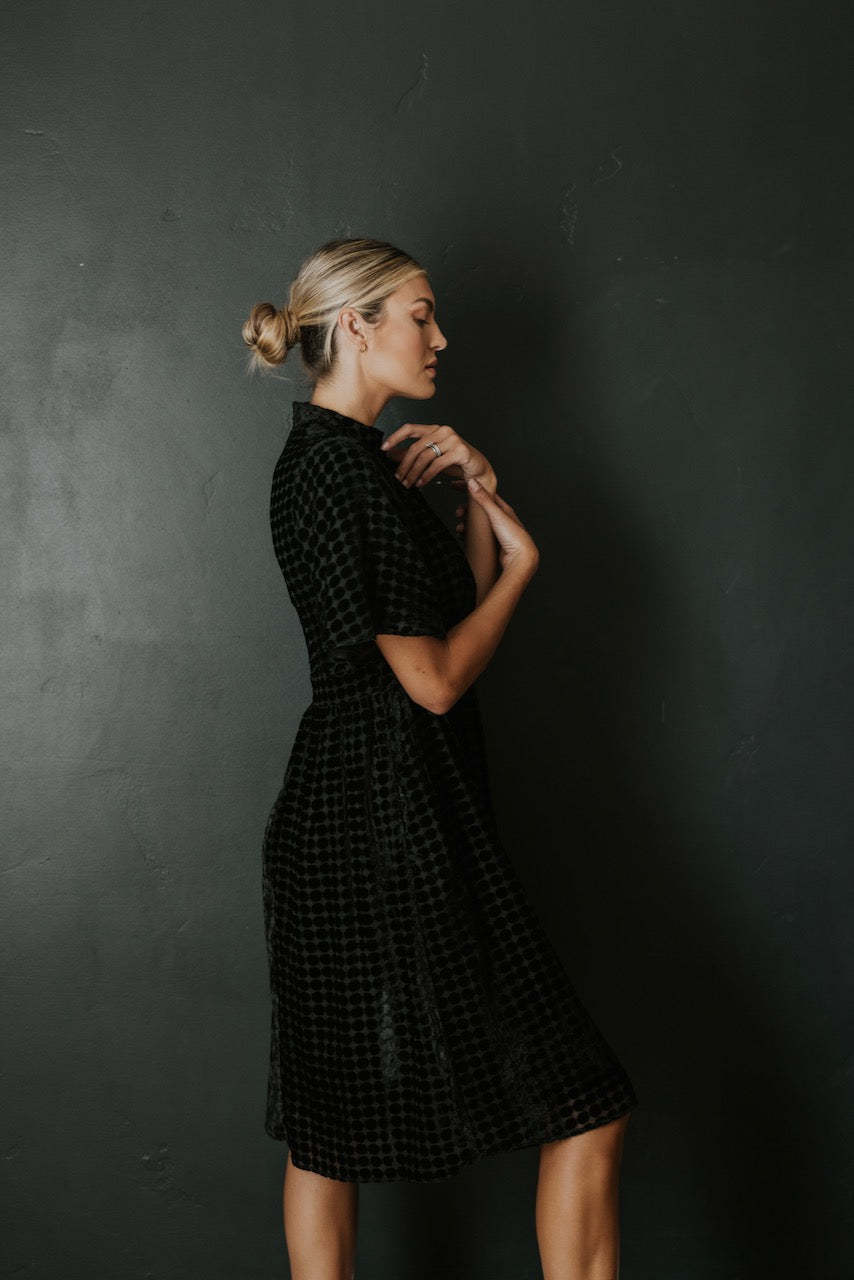Theodosia Velvet Dotted Dress