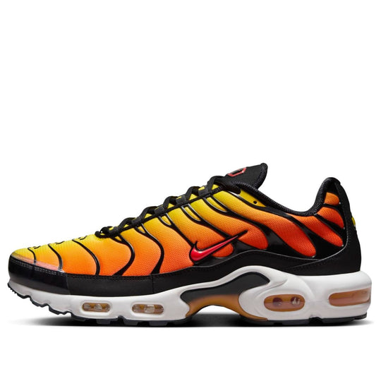 Nitheke Air Max Plus