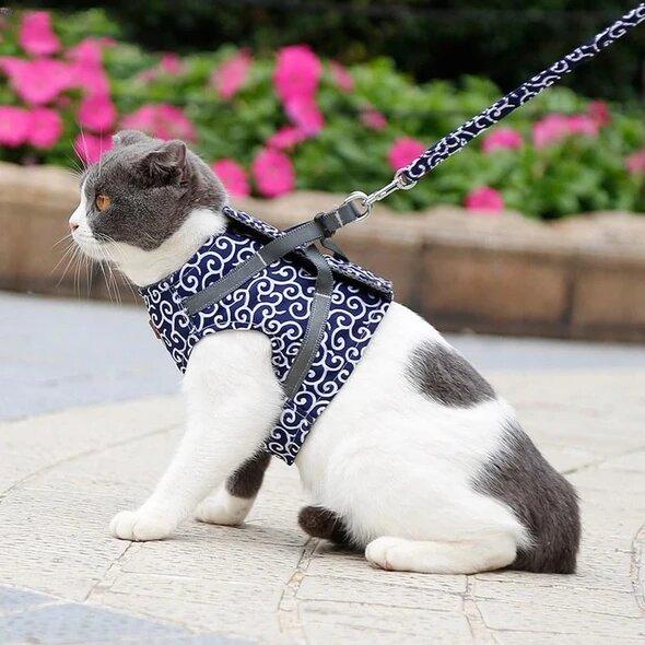 LAST DAY SALE-49% OFF-Cat Dogs Vest Harness and Leash Anti-break Away 