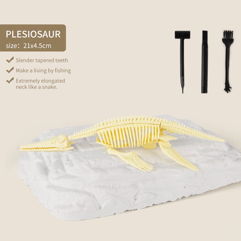 Great Educational Toy for Kids🎁2022 New Arrival Dinosaur Fossil Digging Kit - BUY 2 FREE SHIPPING