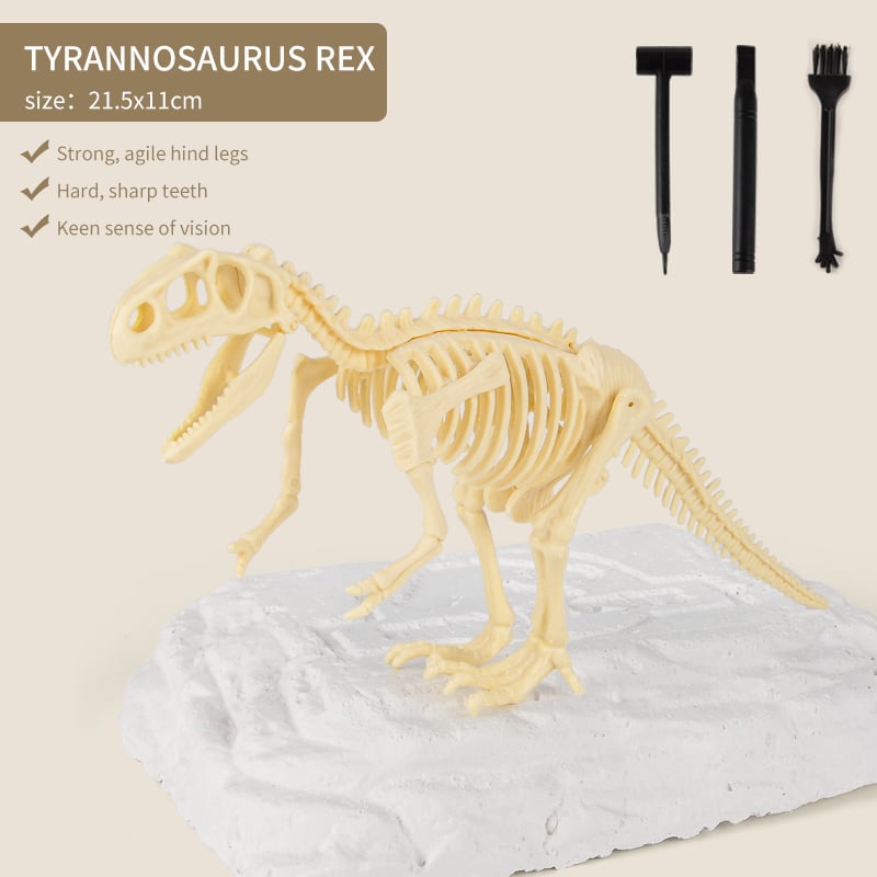 Great Educational Toy for Kids🎁2022 New Arrival Dinosaur Fossil Digging Kit - BUY 2 FREE SHIPPING