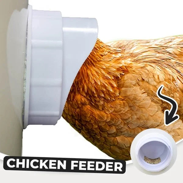 (🔥2023 New Year Hot Sale 30% OFF)DIY Chicken Feeder