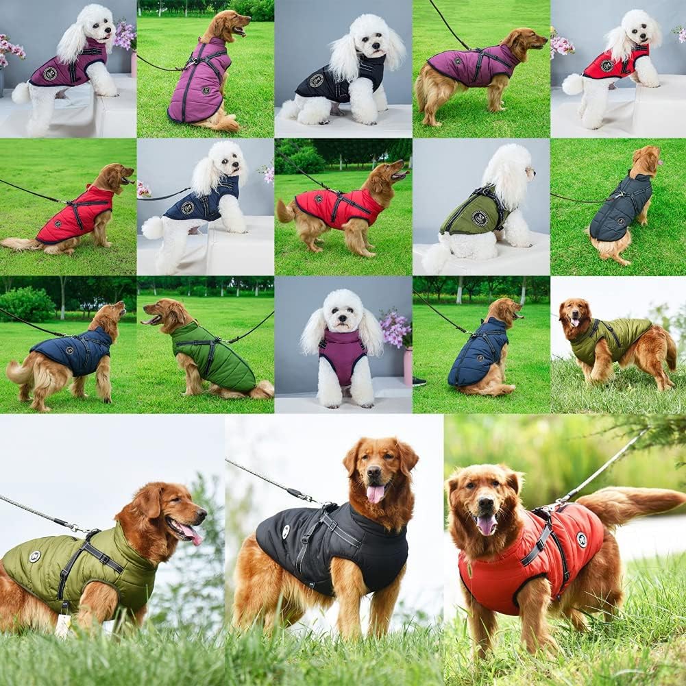 Furry Jacket 🐶Let dogs forget the cold in winter🐾