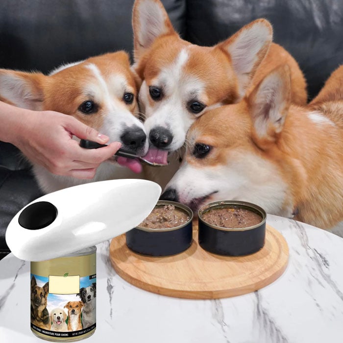 🔥Summer Promotion 49% OFF - Automatic Can Opener - 👍BUY 3 GET 2 FREE & FREE SHIPPING