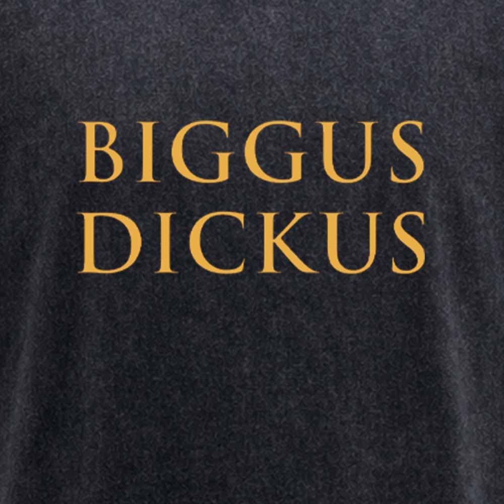 Maturelion Biggus Dickus Washed T-shirt