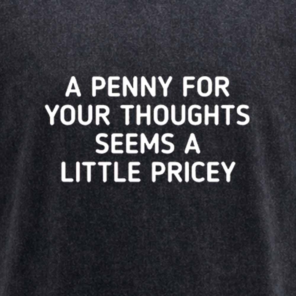 Maturelion A Penny For Your Thoughts Seems A Little Pricey Washed T-shirt