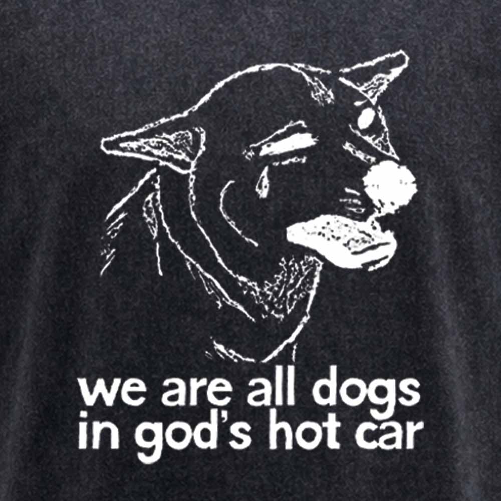 Maturelion We Are All Dogs In God's Hot Car Washed T-shirt