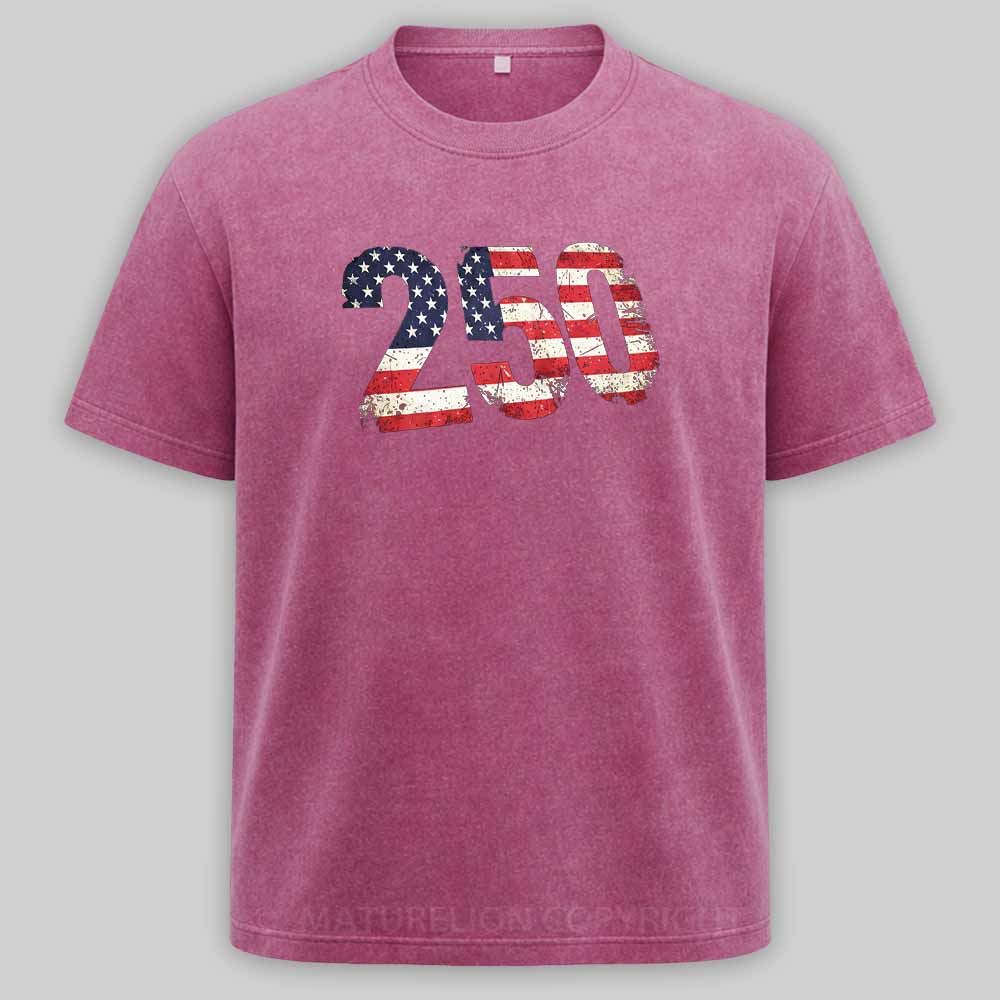 Maturelion USA 250 Years Washed T-shirt