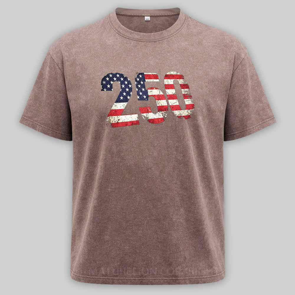 Maturelion USA 250 Years Washed T-shirt