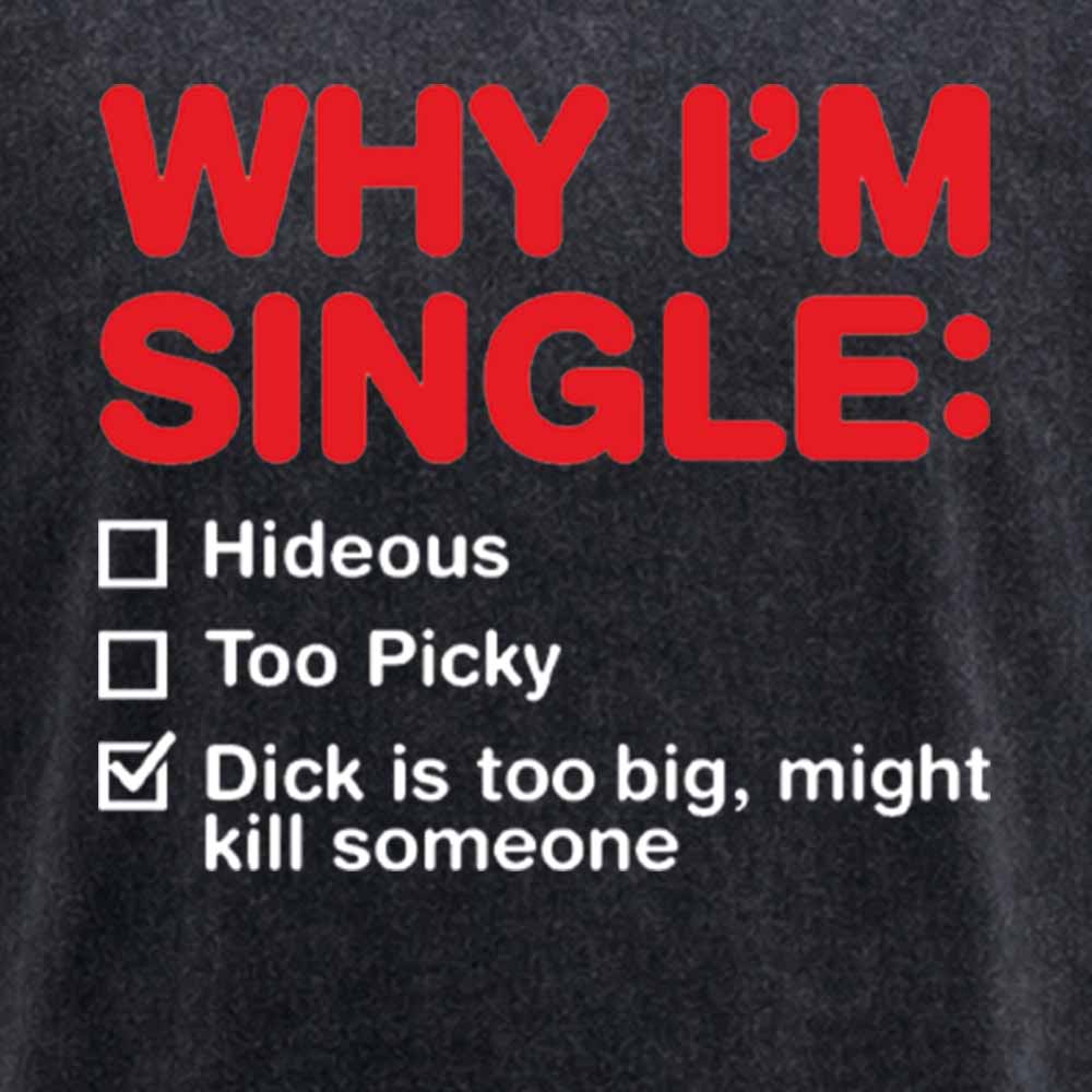 Maturelion Funny Adult Why I'm Single V2 Washed T-shirt