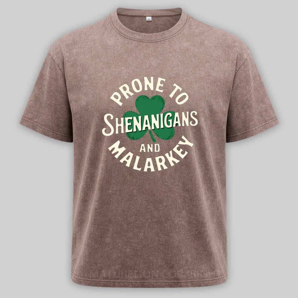 Maturelion Prone To Shenanigans And Malarkey Washed T-shirt