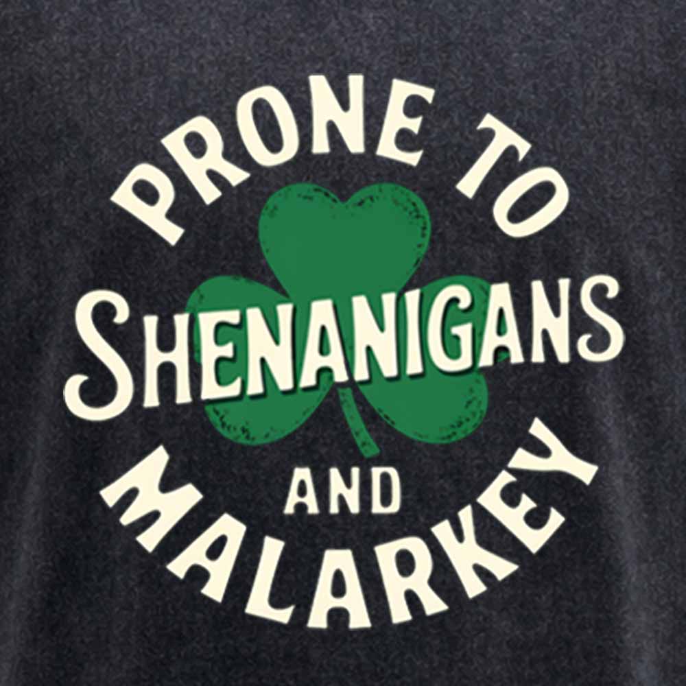 Maturelion Prone To Shenanigans And Malarkey Washed T-shirt