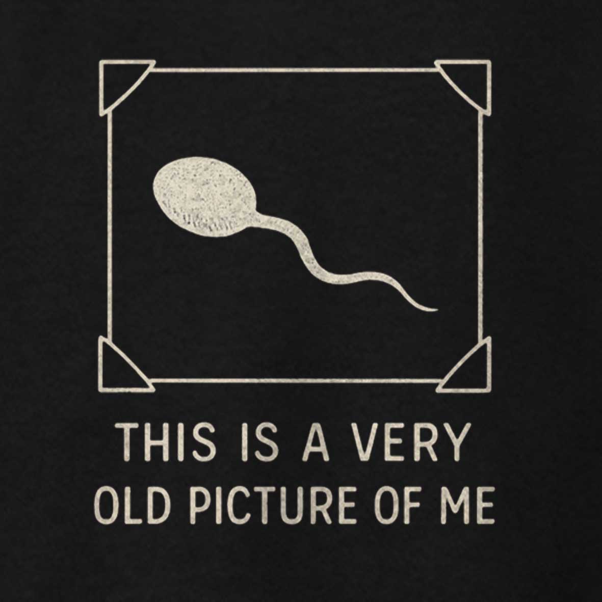 Maturelion This is a Very Old Picture of Me Funny Retro T-shirt