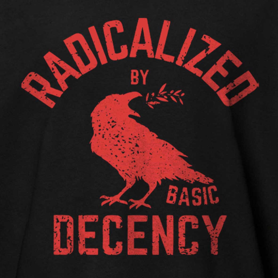 Maturelion Radicalized By Basic Decency Cotton T-shirt