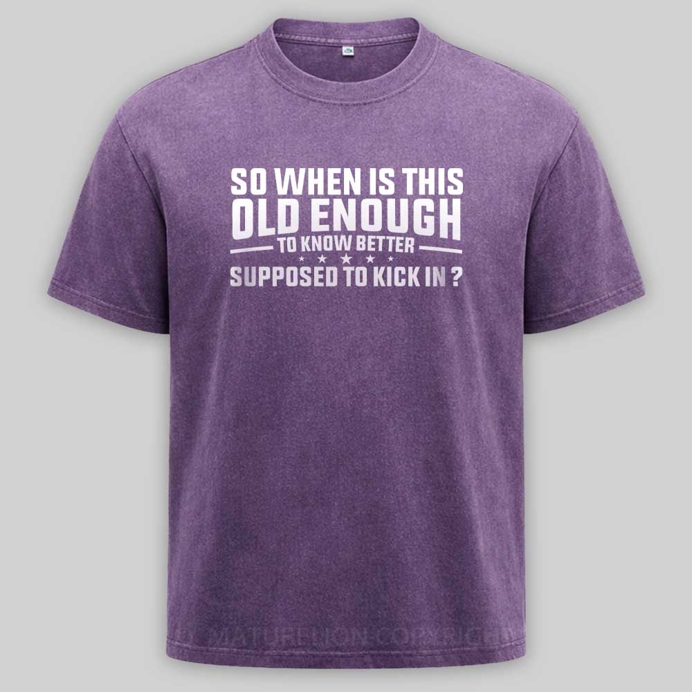 Maturelion so when is this old enough to know better supposed to kick in Washed T-shirt
