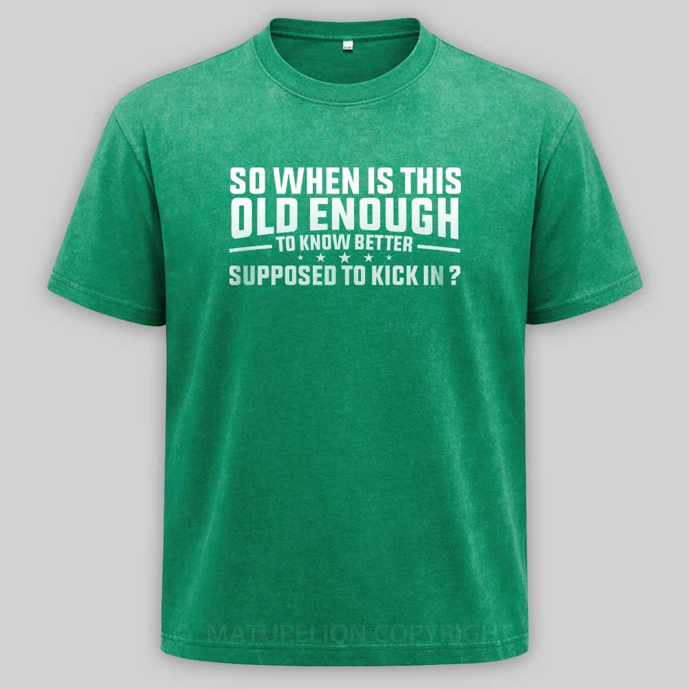 Maturelion so when is this old enough to know better supposed to kick in Washed T-shirt