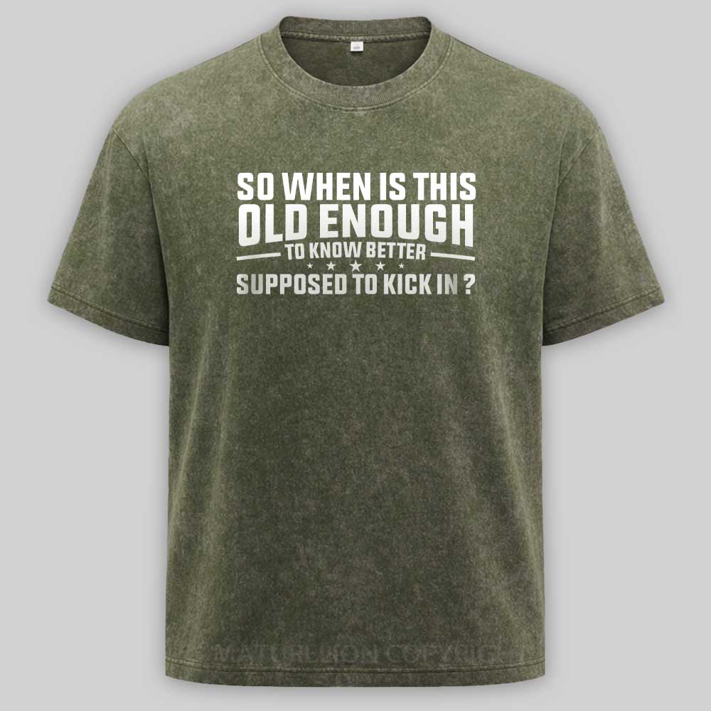 Maturelion so when is this old enough to know better supposed to kick in Washed T-shirt