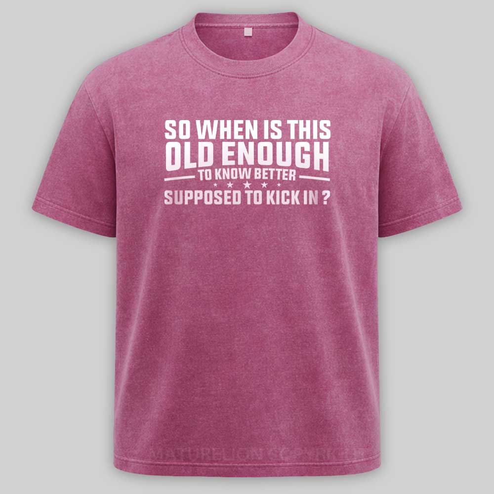 Maturelion so when is this old enough to know better supposed to kick in Washed T-shirt