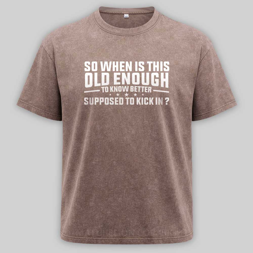 Maturelion so when is this old enough to know better supposed to kick in Washed T-shirt