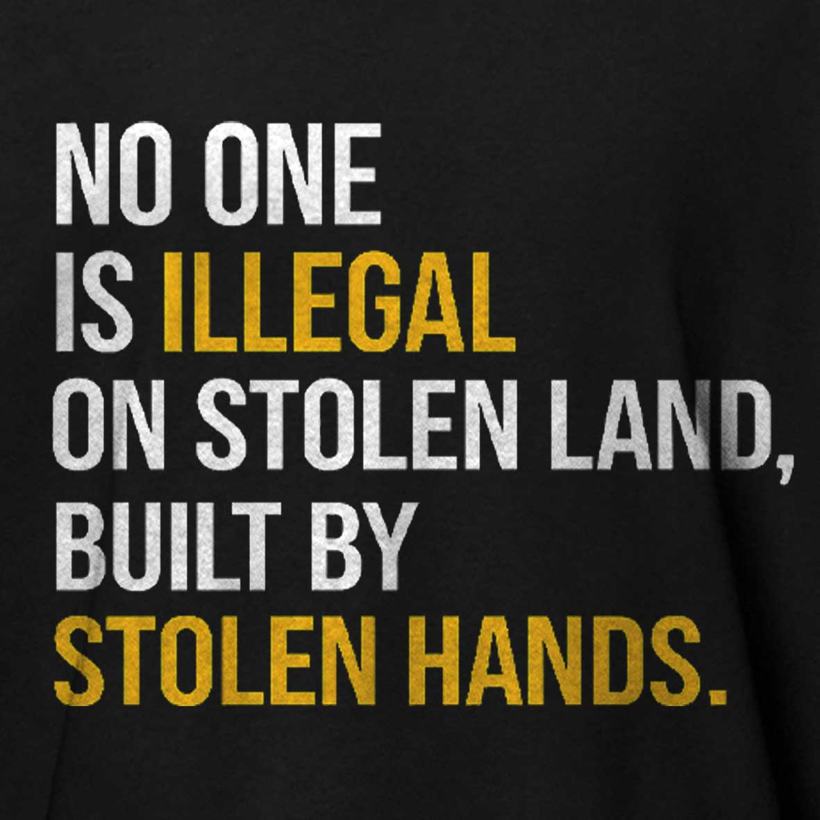 Maturelion No One Is Illegal On Stolen Land Built By Stolen Hands Cotton T-shirt