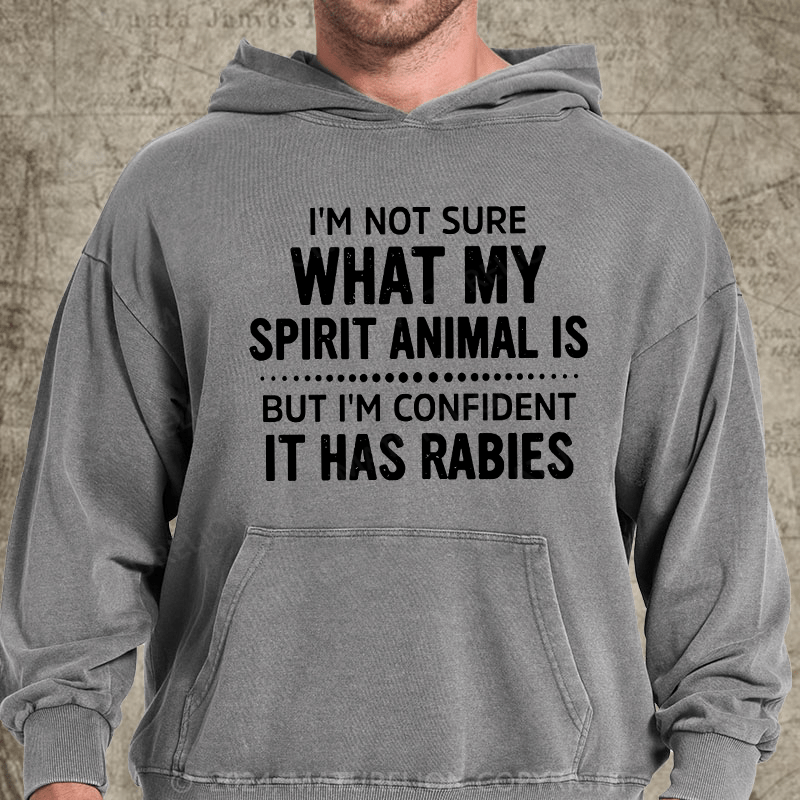 Maturelion I'm Not Sure What My Spirit Animal Is But I'm Confident It Has Rabies DTG Printing Washed  Hoodie