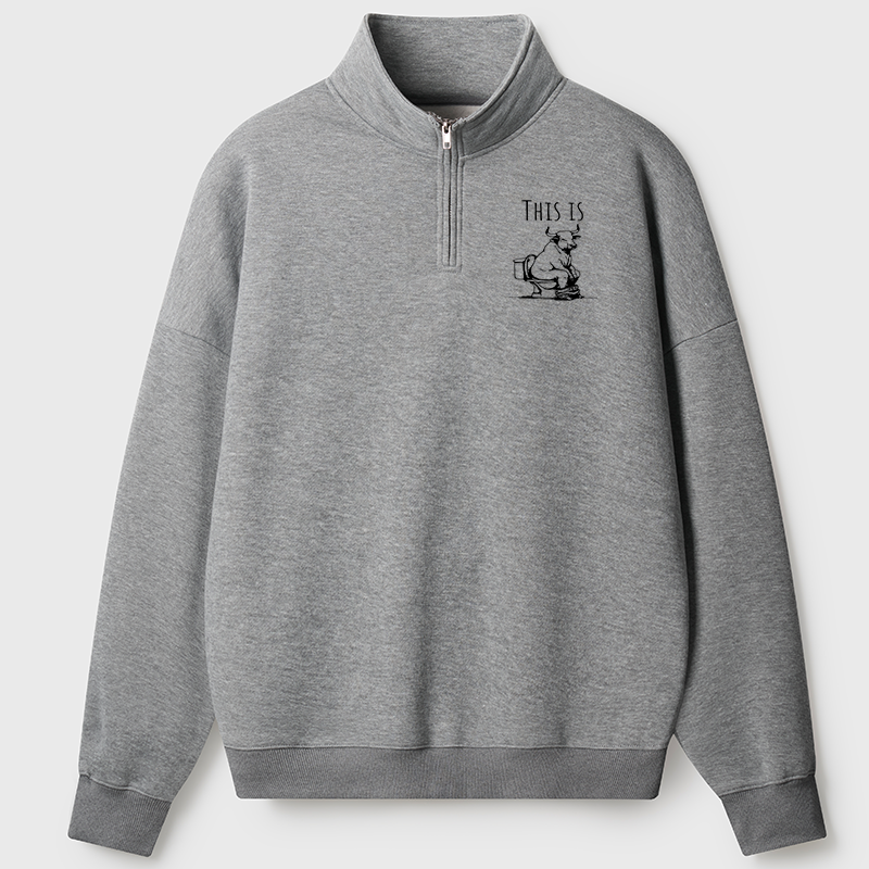 Men's Sweatshirt This Is Bullshit Half Zip Fleece Sweatshirt