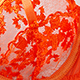 [Copy][Copy][Copy][Copy][Copy][Copy][Copy]Embroidery set #54