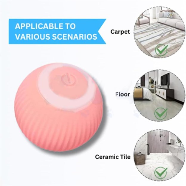 🎉Last Day 49% OFF😍✨2 in 1 Simulated Interactive hunting cat toy-POIULTD