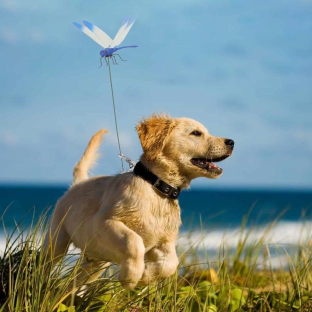 Dragonfly Clip Bug Repe Llent - 3D Dragonfly Garden Decor Deer and Horse Fly Deterrent for Indoor/Outdoor Garden-POIULTD