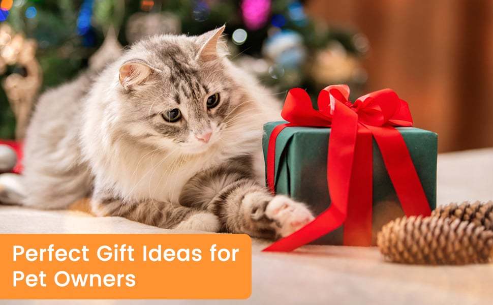 ✨Last Day 50% OFF💥Pet Spray Hair Removal Comb🐶-POIULTD