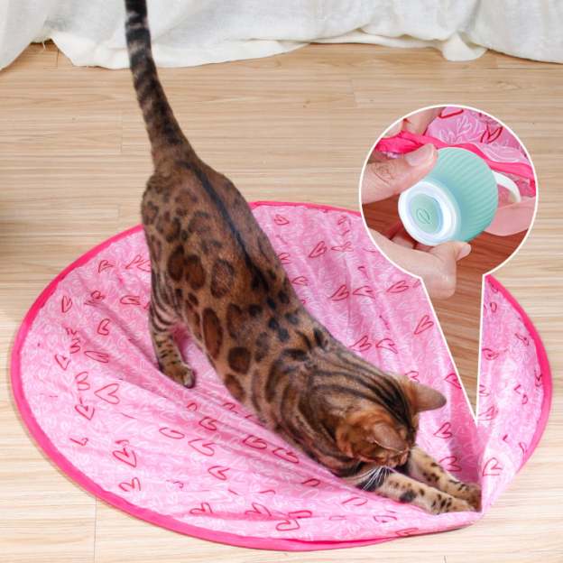 🎉Last Day 49% OFF😍✨2 in 1 Simulated Interactive hunting cat toy-POIULTD