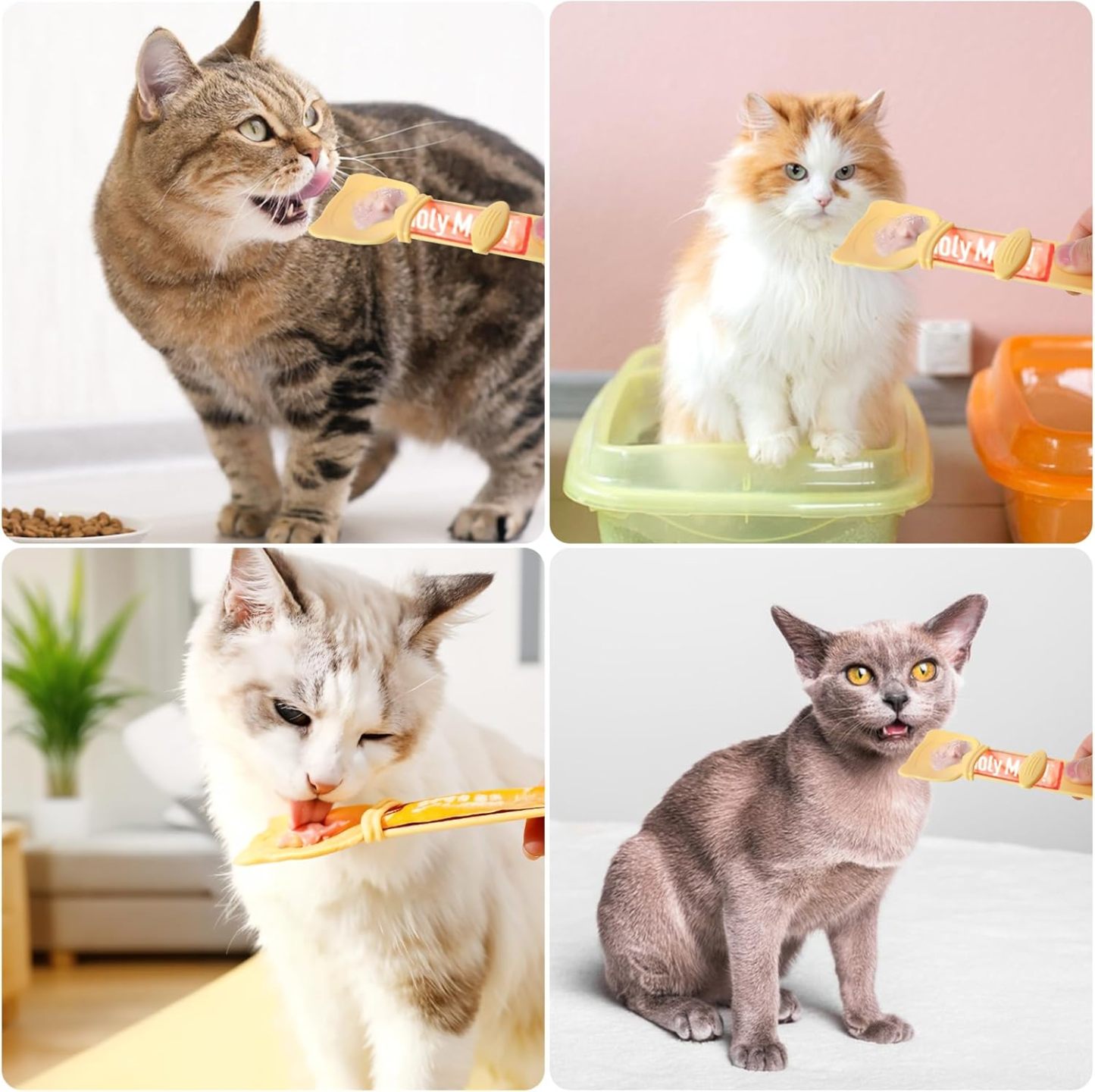 🐱Cat Strip Feeder and Pet Food Mixing Spoon For Cat Liquid Snack and Wet Food-POIULTD