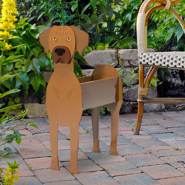 Rhodesian Ridgeback Planter-POIULTD