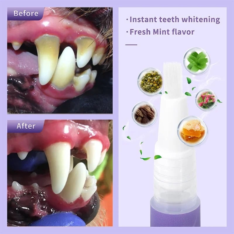 BUY 1 GET 1 FREE 🌈 Pet Oral Repair Gel