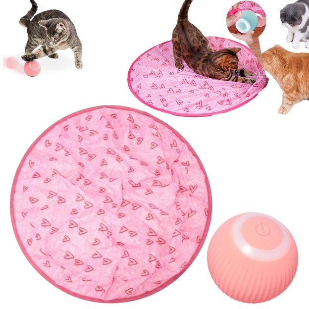 🎉Last Day 49% OFF😍✨2 in 1 Simulated Interactive hunting cat toy-POIULTD