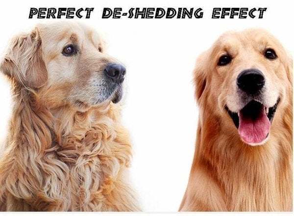 🎁Pet Safe Dematting Comb-POIULTD