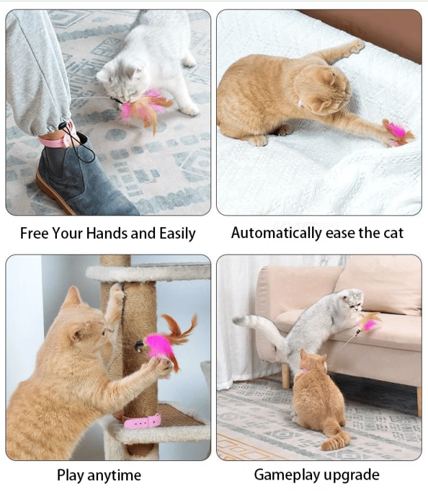 🔥Free hands collar cat teaser stick😻-POIULTD