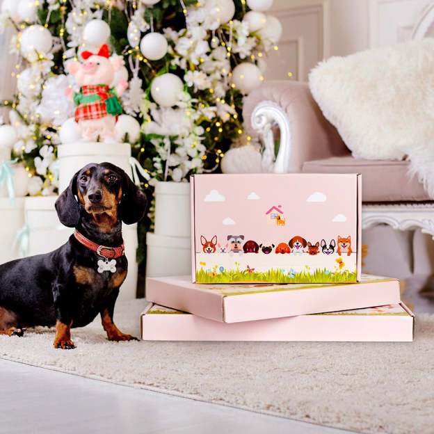 German Shorthaired Pointer Planter-POIULTD